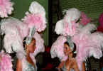 Pale pink feather harnesses.jpg (89595 bytes)