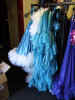 Various show cloaks in blue.jpg (1240115 bytes)